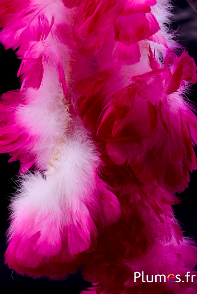 Frange dinde - long. plumes 10 cm - blanc pointe fuchsia